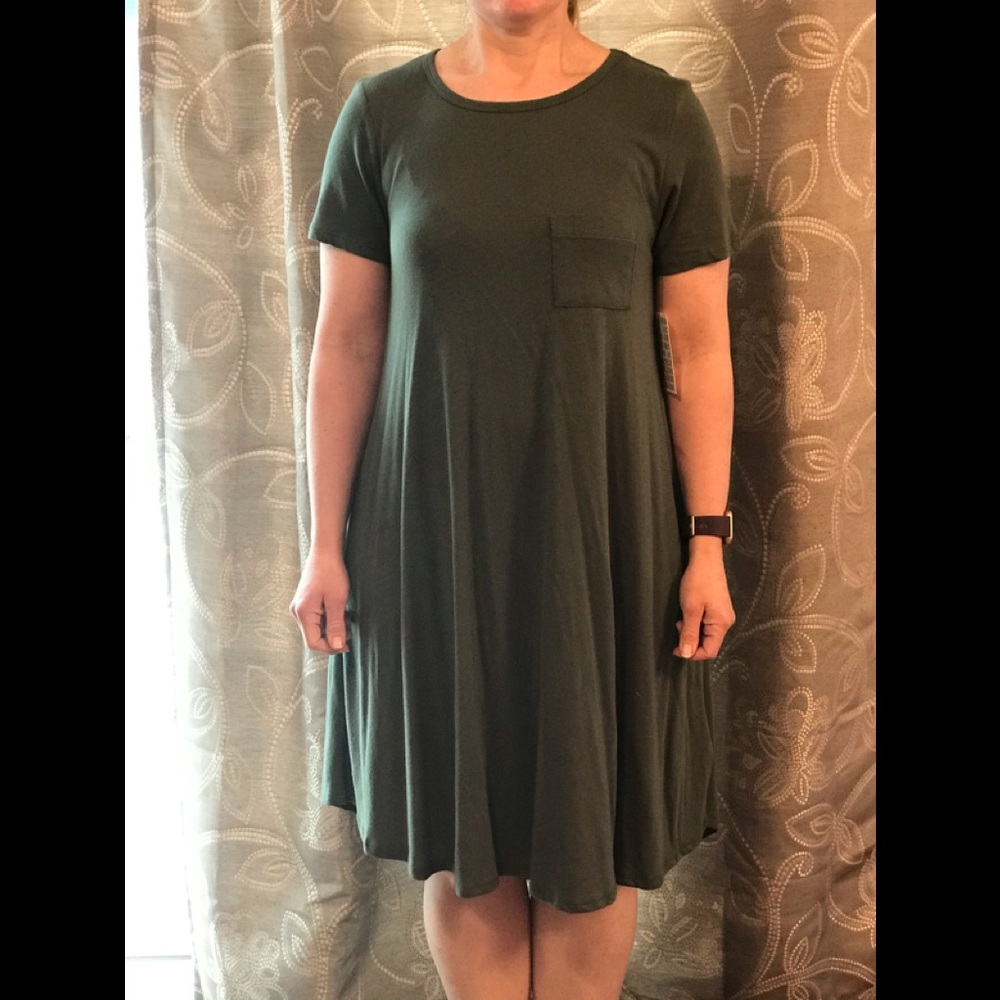 Lularoe Carly dress